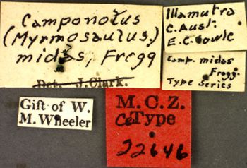 Media type: image; Entomology 22646   Aspect: labels